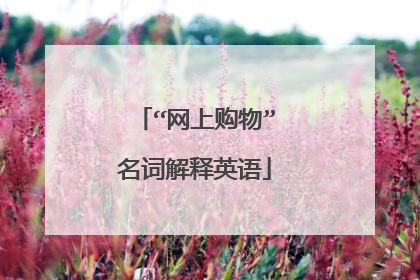 “网上购物”名词解释英语