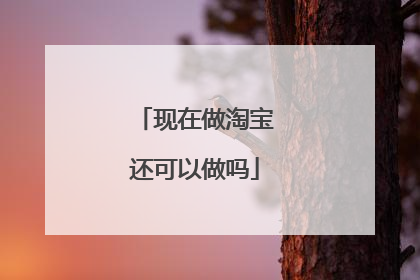 现在做淘宝还可以做吗
