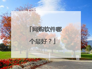 网购软件哪个最好？