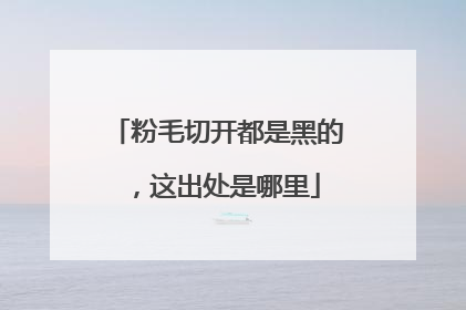 粉毛切开都是黑的,这出处是哪里