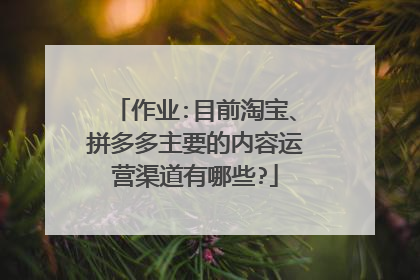 作业:目前淘宝、拼多多主要的内容运营渠道有哪些?