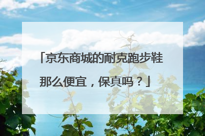 京东商城的耐克跑步鞋那么便宜，保真吗？