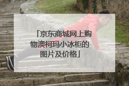 京东商城网上购物澳柯玛小冰柜的图片及价格