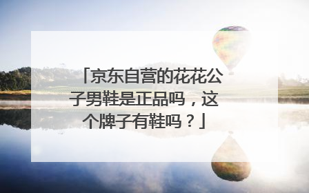 京东自营的花花公子男鞋是正品吗，这个牌子有鞋吗？