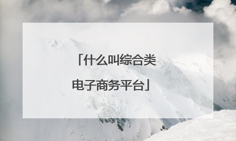 什么叫综合类电子商务平台