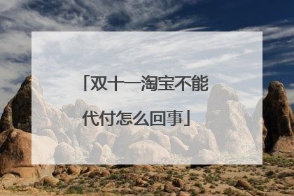 双十一淘宝不能代付怎么回事