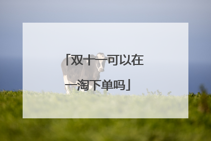 双十一可以在一淘下单吗