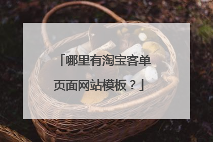 哪里有淘宝客单页面网站模板?