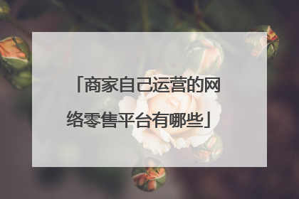 商家自己运营的网络零售平台有哪些