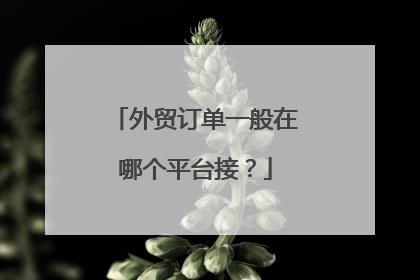 外贸订单一般在哪个平台接?
