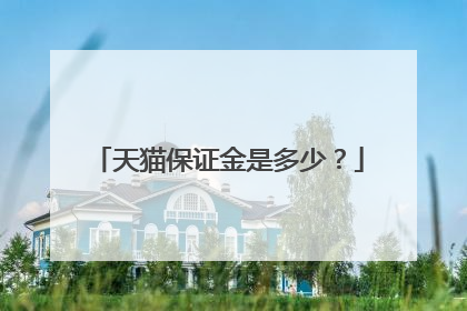 天猫保证金是多少？