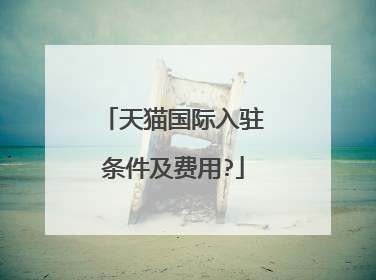 天猫国际入驻条件及费用?