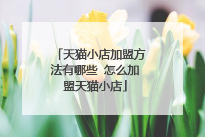 天猫小店加盟方法有哪些 怎么加盟天猫小店