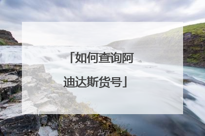 如何查询阿迪达斯货号