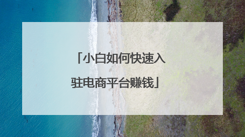 小白如何快速入驻电商平台赚钱