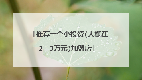推荐一个小投资(大概在2--3万元)加盟店