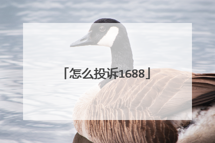 怎么投诉1688
