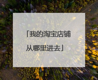 我的淘宝店铺从哪里进去