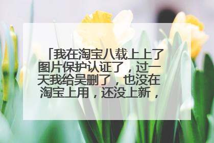 我在淘宝八载上上了图片保护认证了,过一天我给吴删了,也没在淘宝上用,还没上新,在重上传一下可以吗