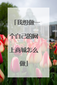 我想做一个自己的网上商城怎么做
