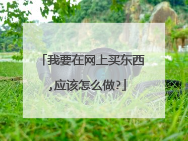 我要在网上买东西,应该怎么做?