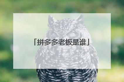 拼多多老板是谁