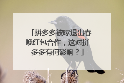 拼多多被曝退出春晚红包合作，这对拼多多有何影响？