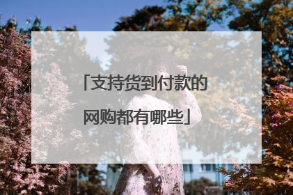 支持货到付款的网购都有哪些