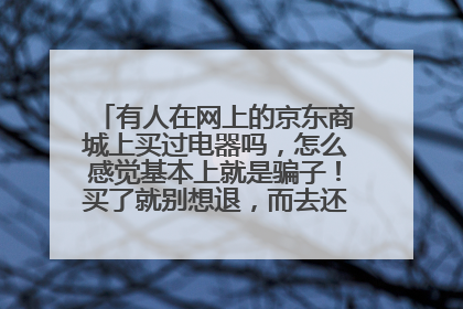 有人在网上的京东商城上买过电器吗,怎么感觉基本上就是骗子!买了就别想退,而去还是有质量问题的东西