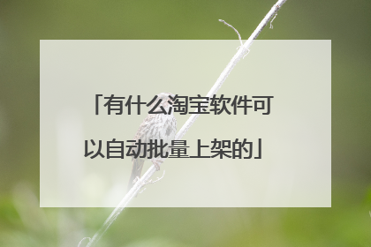 有什么淘宝软件可以自动批量上架的