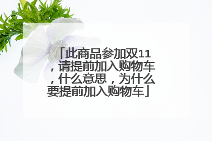 此商品参加双11，请提前加入购物车，什么意思，为什么要提前加入购物车
