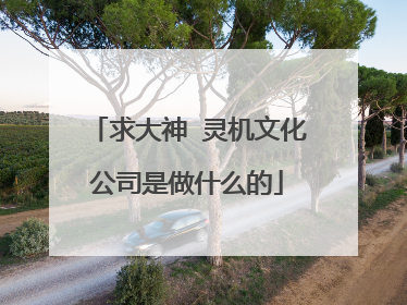 求大神 灵机文化公司是做什么的