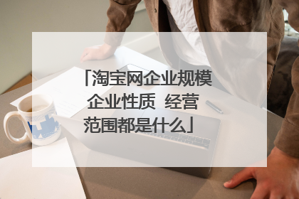 淘宝网企业规模 企业性质 经营范围都是什么
