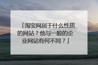 淘宝网属于什么性质的网站?他与一般的企业网站有何不同?