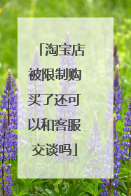 淘宝店被限制购买了还可以和客服交谈吗