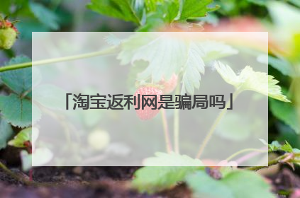 淘宝返利网是骗局吗