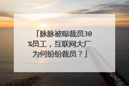 脉脉被曝裁员30%员工,互联网大厂为何纷纷裁员?