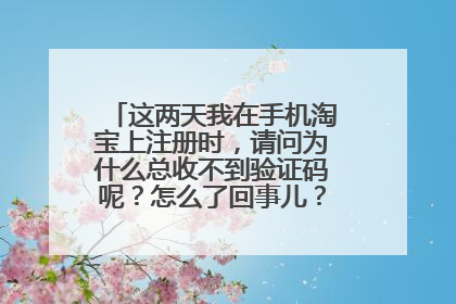 这两天我在手机淘宝上注册时，请问为什么总收不到验证码呢？怎么了回事儿？请您帮都我吧！