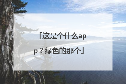 这是个什么app？绿色的那个