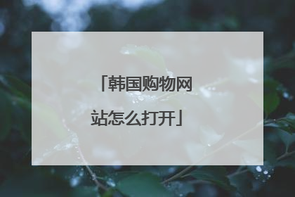 韩国购物网站怎么打开