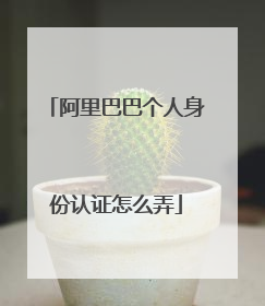 阿里巴巴个人身份认证怎么弄