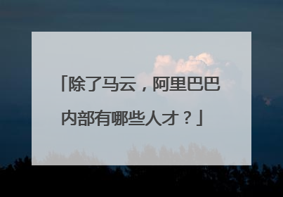 除了马云，阿里巴巴内部有哪些人才？