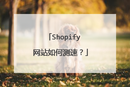 Shopify网站如何测速？