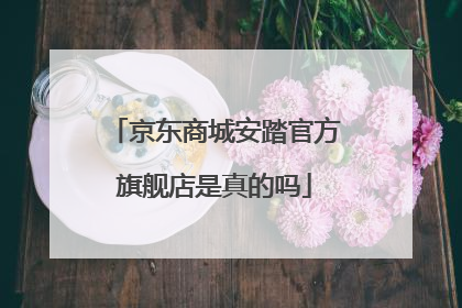 京东商城安踏官方旗舰店是真的吗