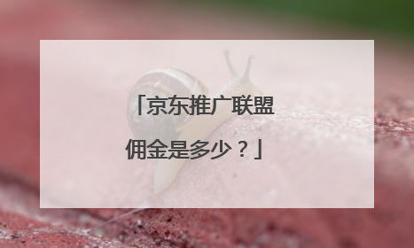 京东推广联盟佣金是多少？