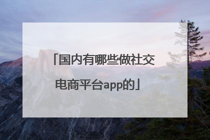 国内有哪些做社交电商平台app的