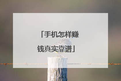 手机怎样赚钱真实靠谱