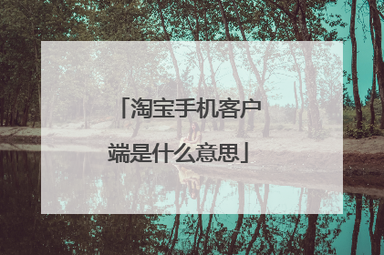 淘宝手机客户端是什么意思