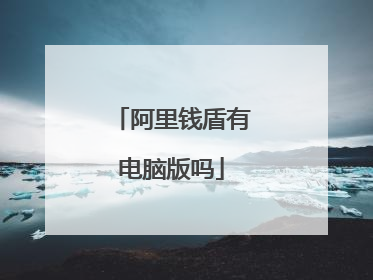 阿里钱盾有电脑版吗