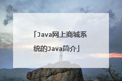 Java网上商城系统的Java简介
